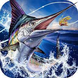 海德体育官网app