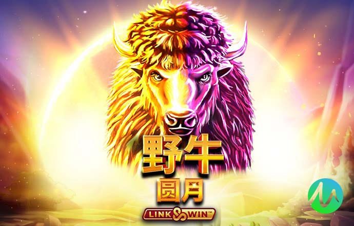 大象竞速